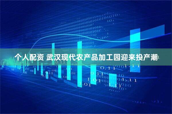个人配资 武汉现代农产品加工园迎来投产潮
