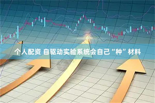 个人配资 自驱动实验系统会自己“种”材料