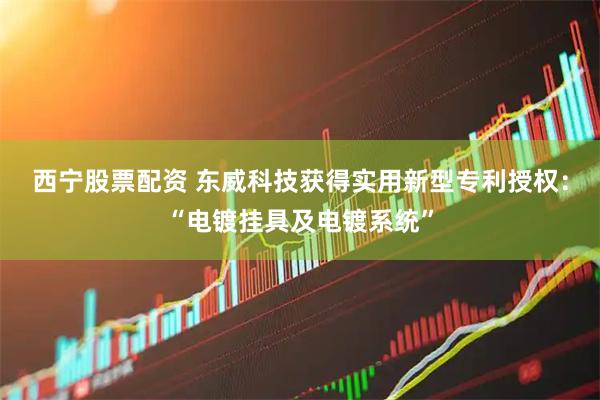 西宁股票配资 东威科技获得实用新型专利授权：“电镀挂具及电镀系统”