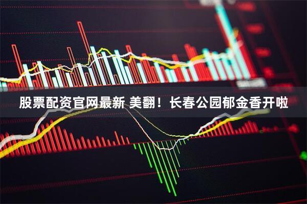 股票配资官网最新 美翻！长春公园郁金香开啦
