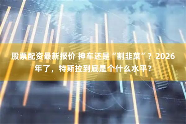 股票配资最新报价 神车还是“割韭菜”？2026年了，特斯拉到底是个什么水平？